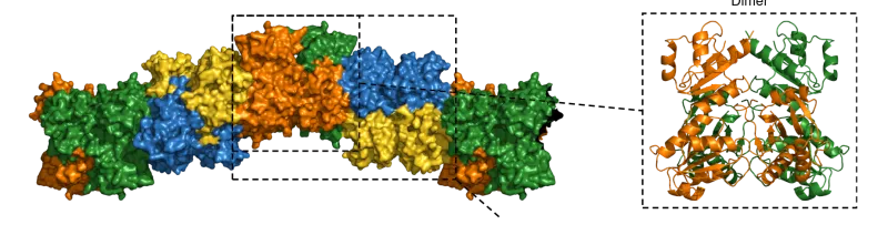 Molecular structure visualization