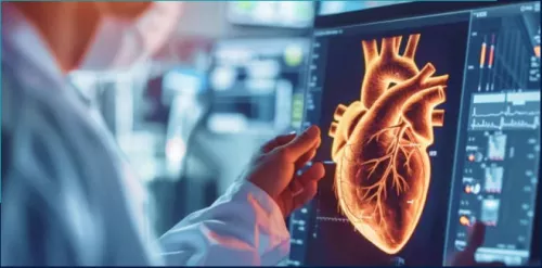 Digital heart scan visualization